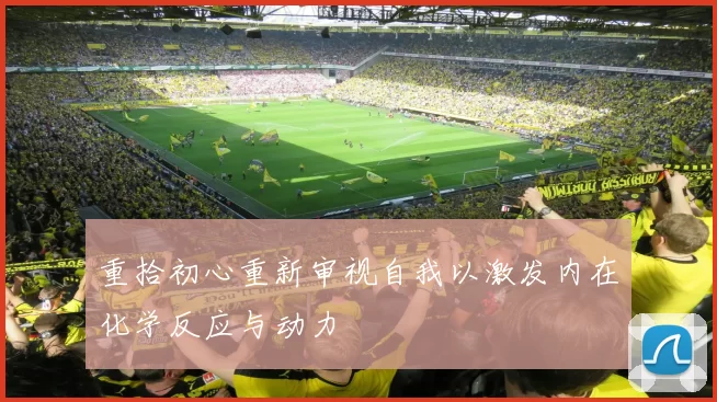 重拾初心重新审视自我以激发内在化学反应与动力