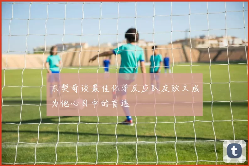 东契奇谈最佳化学反应队友欧文成为他心目中的首选